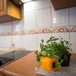 Apartamento Negro I Peti W Centrum Apartzakop Zakopane