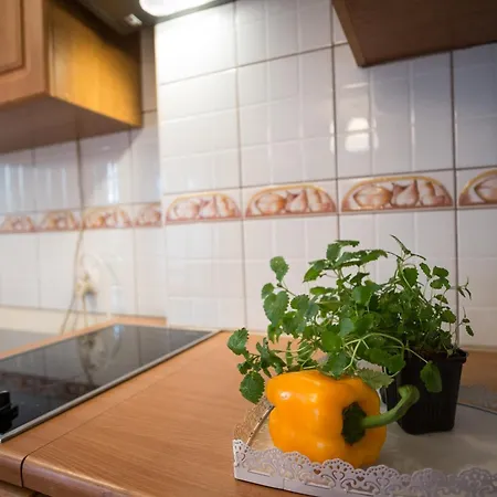 公寓 Negro I Peti W Centrum Apartzakop 扎科帕内