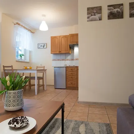 公寓 Negro I Peti W Centrum Apartzakop 扎科帕内